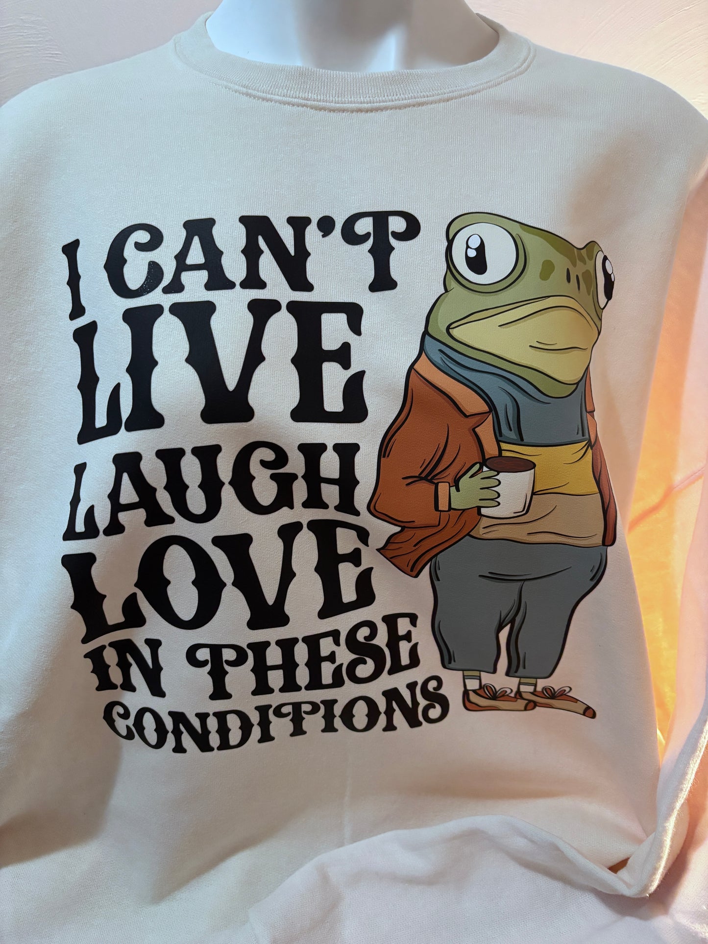 Adorable Frog Sweatshirt with Witty Quote