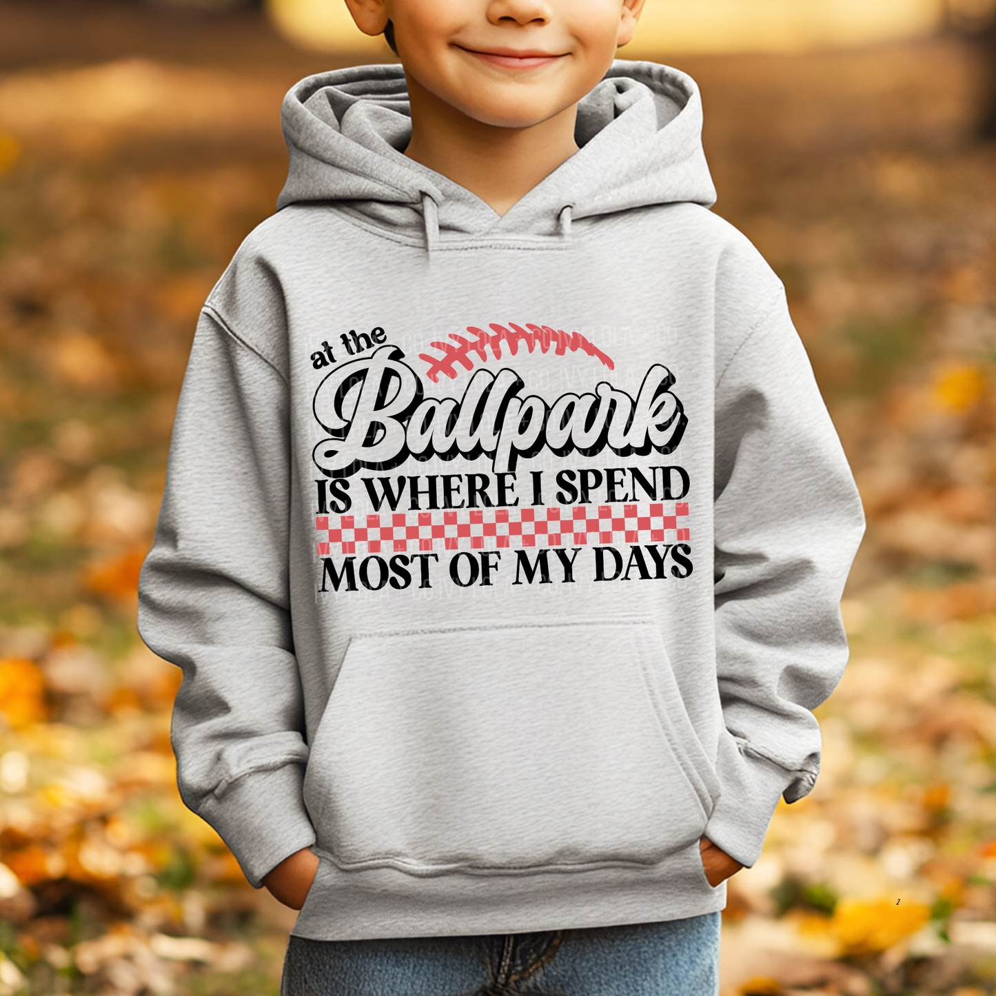 At the Ballpark Youth Tee or Hoodie for Baseball Fans