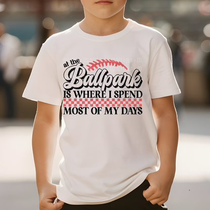 At the Ballpark Youth Tee or Hoodie for Baseball Fans