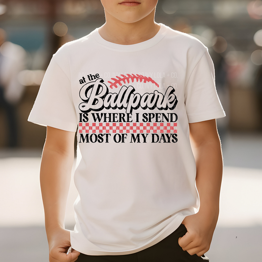 At the Ballpark Youth Tee or Hoodie for Baseball Fans