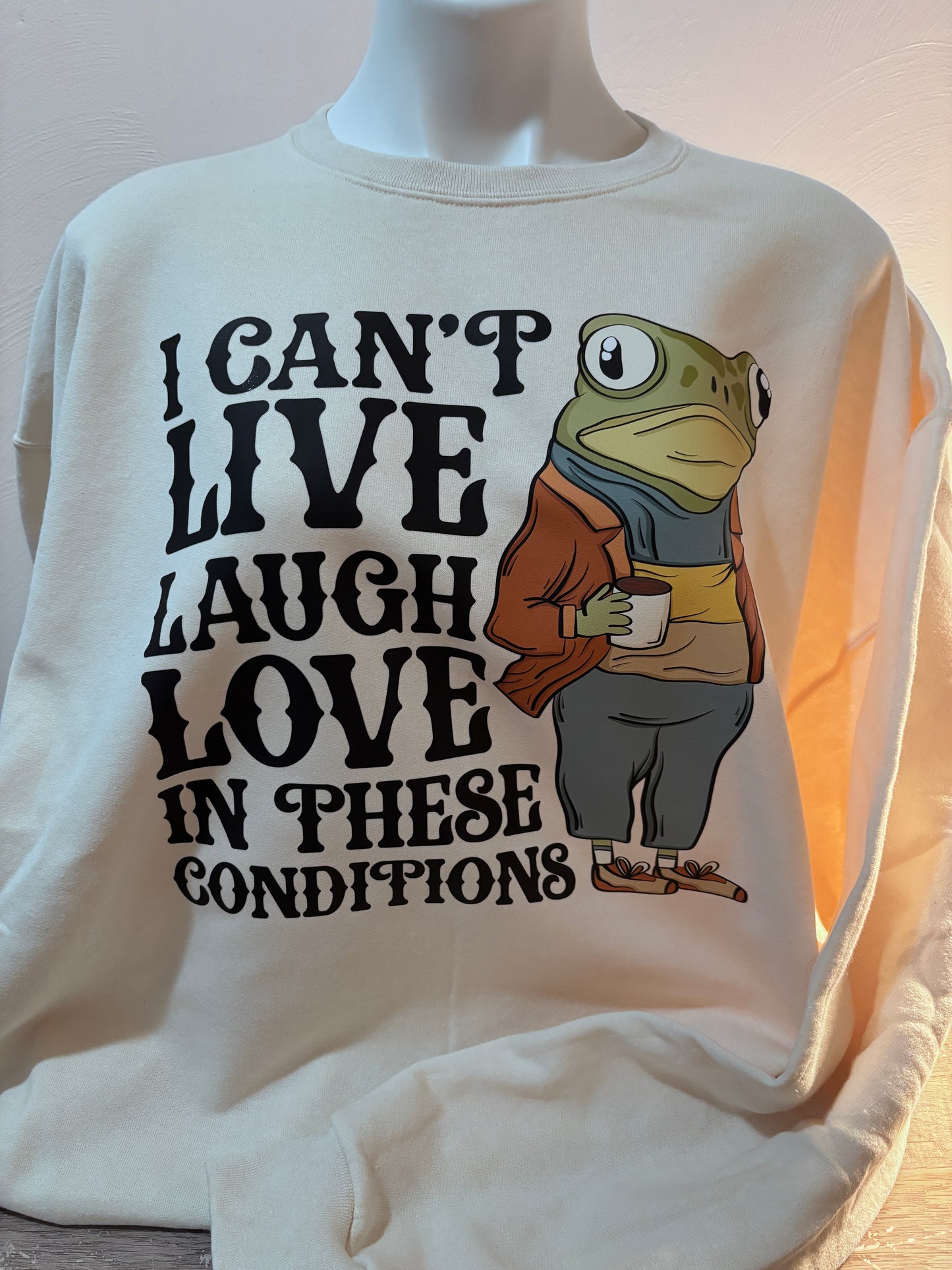 Adorable Frog Sweatshirt with Witty Quote