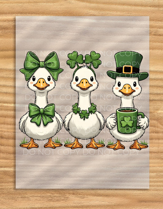 DTF Transfer St Patrick's Day Silly Goose